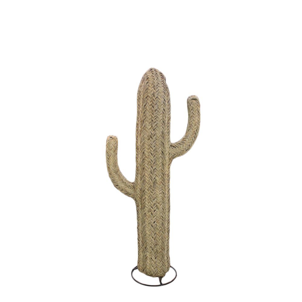 cactus M