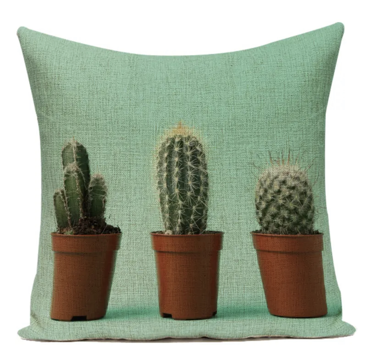 coussin cactus bleu 