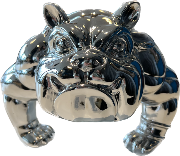 Bulldog argenté 