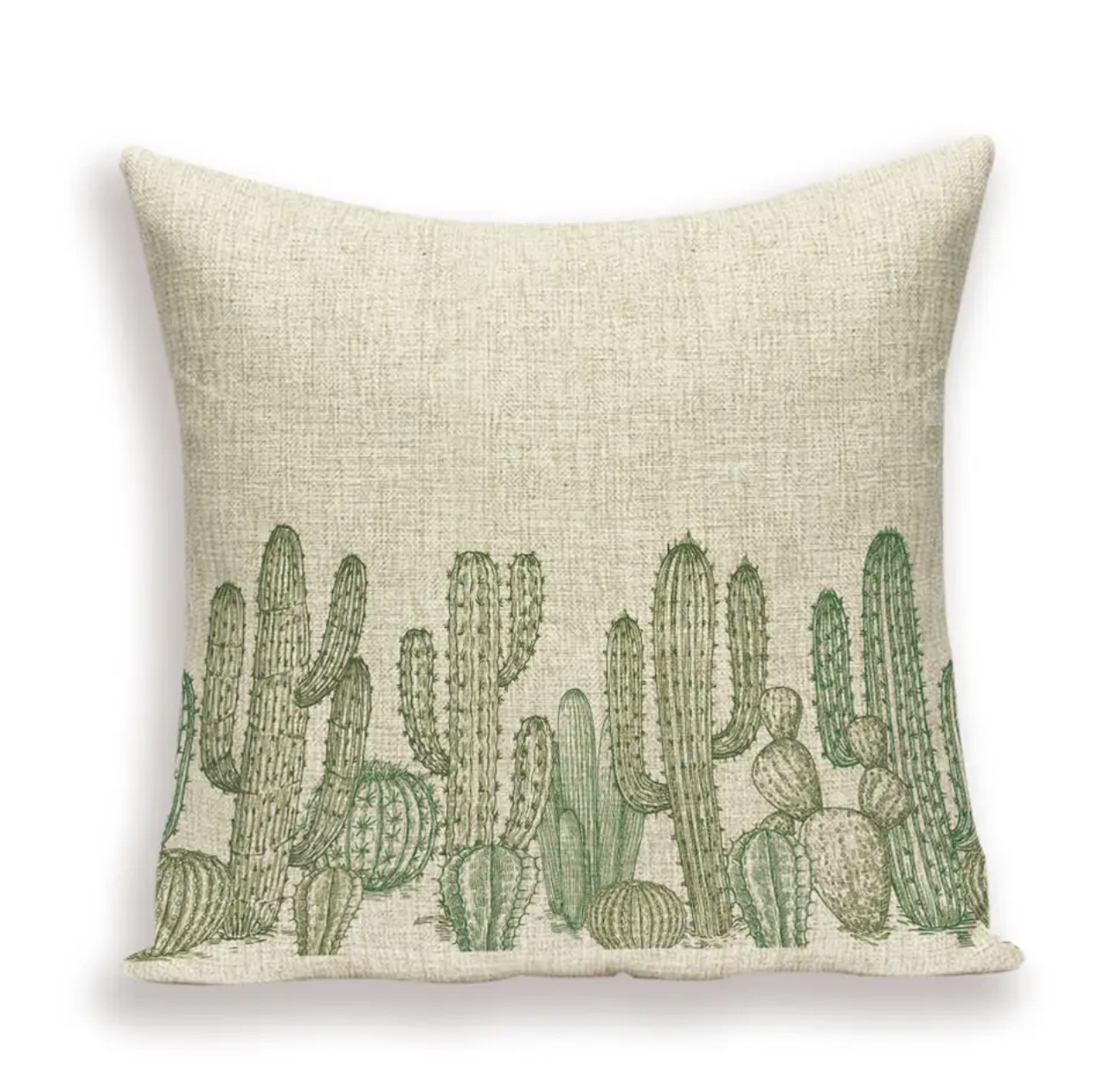 coussin cactus 