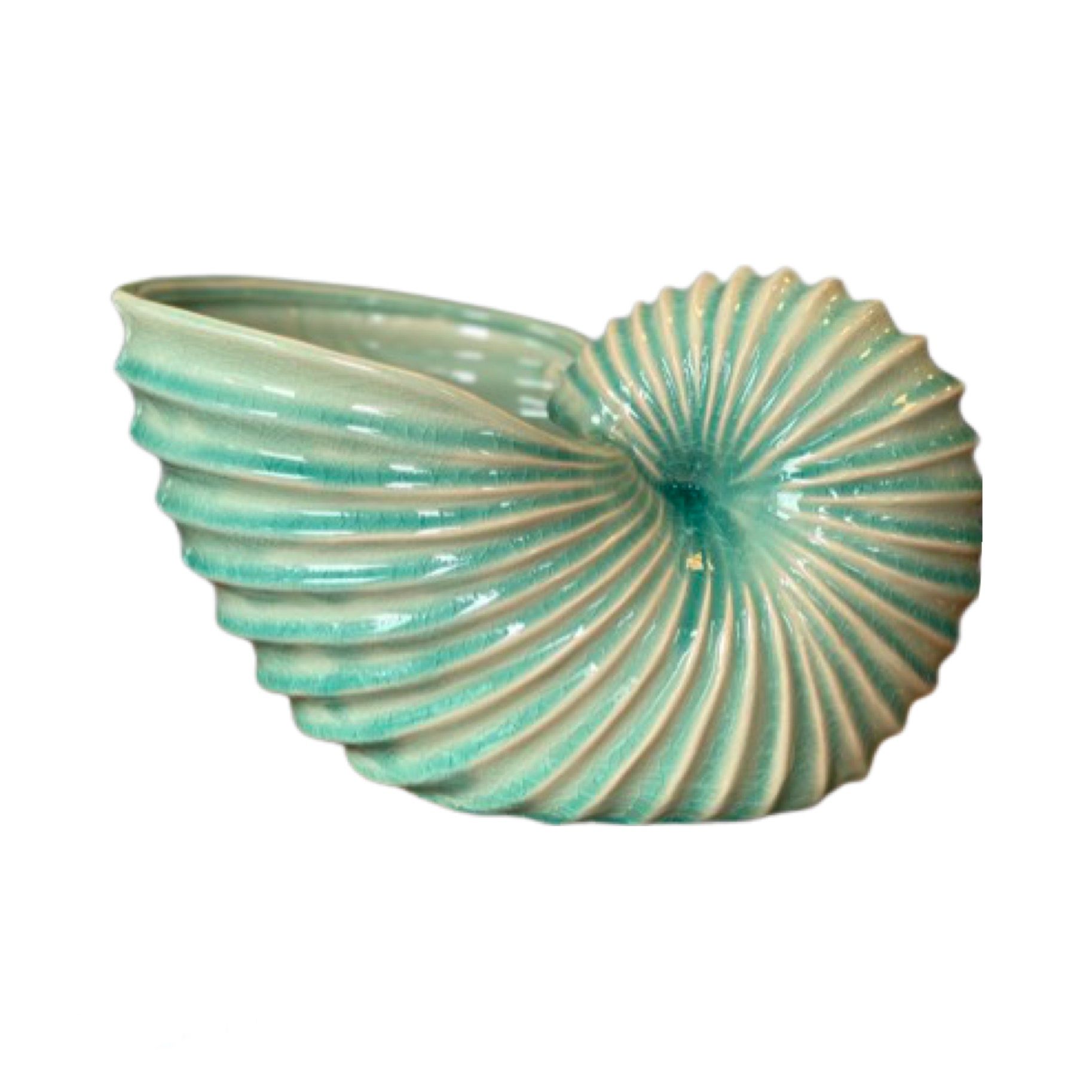 Vase Coquillage 