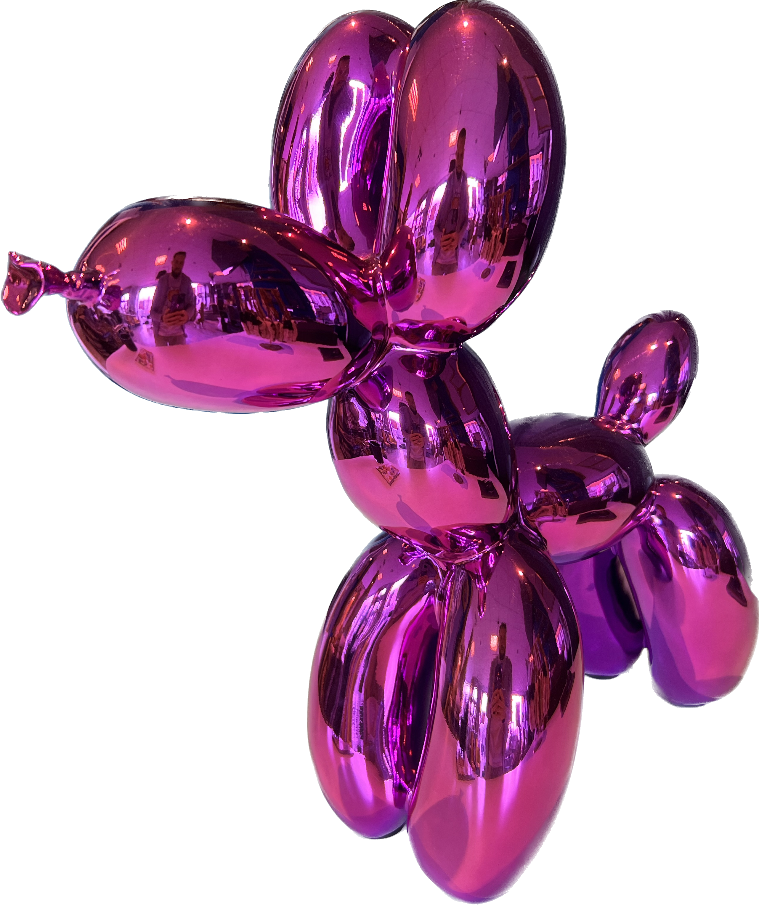 chien ballon rose