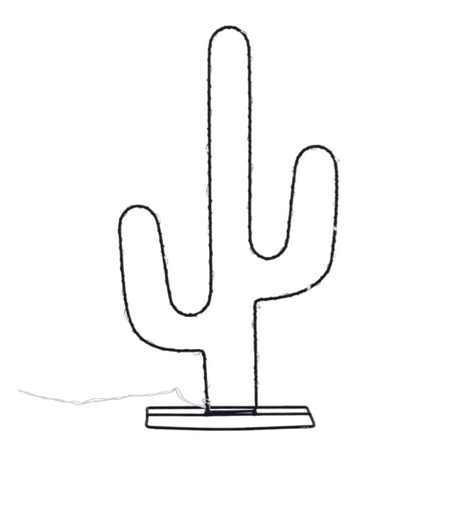 Cactus light