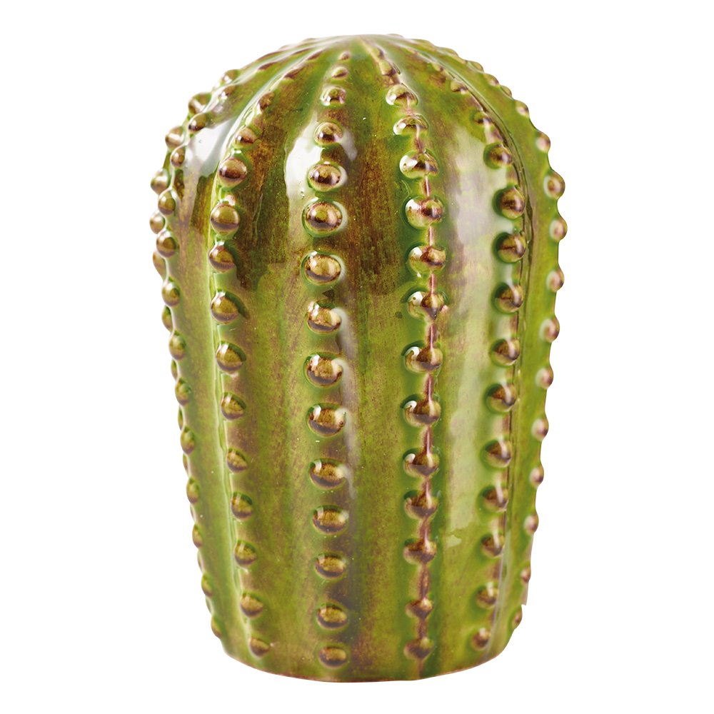 cactus verre 